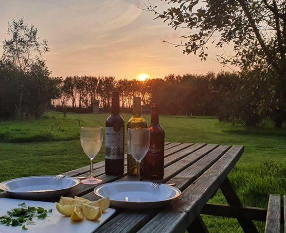 Mill Haven Place Glamping-Yurt 2 Haverfordwest Eksteriør bilde