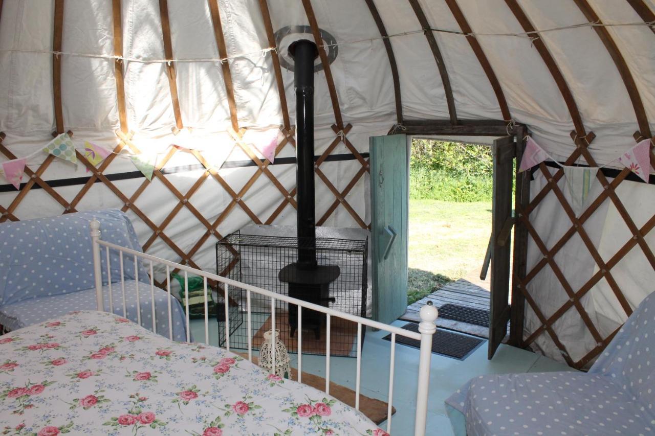 Mill Haven Place Glamping-Yurt 2 Haverfordwest Eksteriør bilde